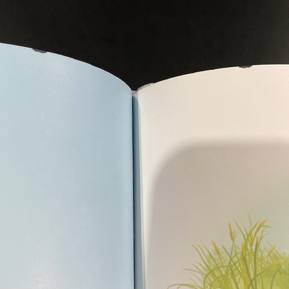 Disney Bunnies: Thumper Finds A Friend - Hardcover Children’s Book - Picture 9 of 11